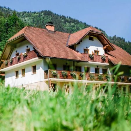 Country House - Turisticna Kmetija Ambroz Gregorc Villa Solčava Dış mekan fotoğraf