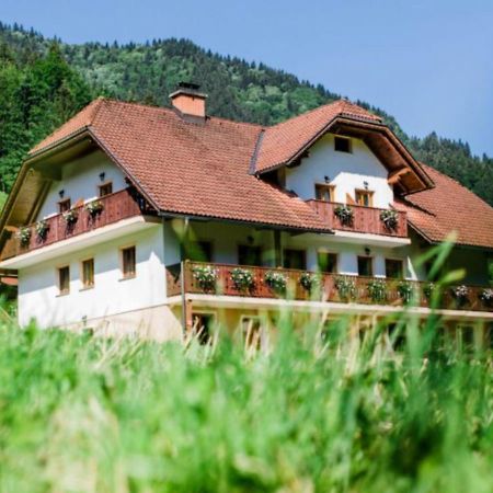 Na Logu - Farm Stay Ambroz Gregorc Solčava Dış mekan fotoğraf