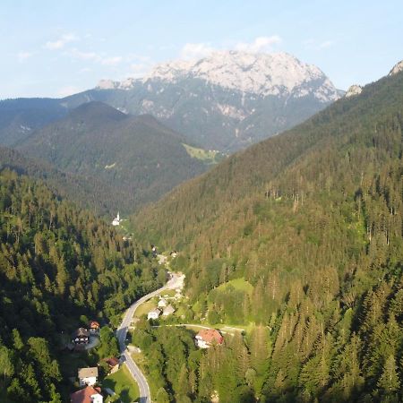 Na Logu - Farm Stay Ambroz Gregorc Solčava Dış mekan fotoğraf