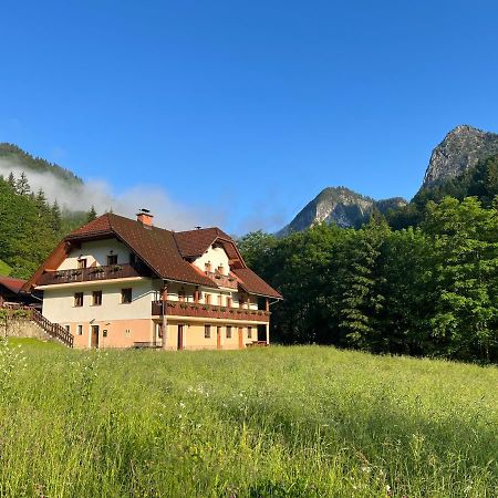 Country House - Turisticna Kmetija Ambroz Gregorc Villa Solčava Dış mekan fotoğraf