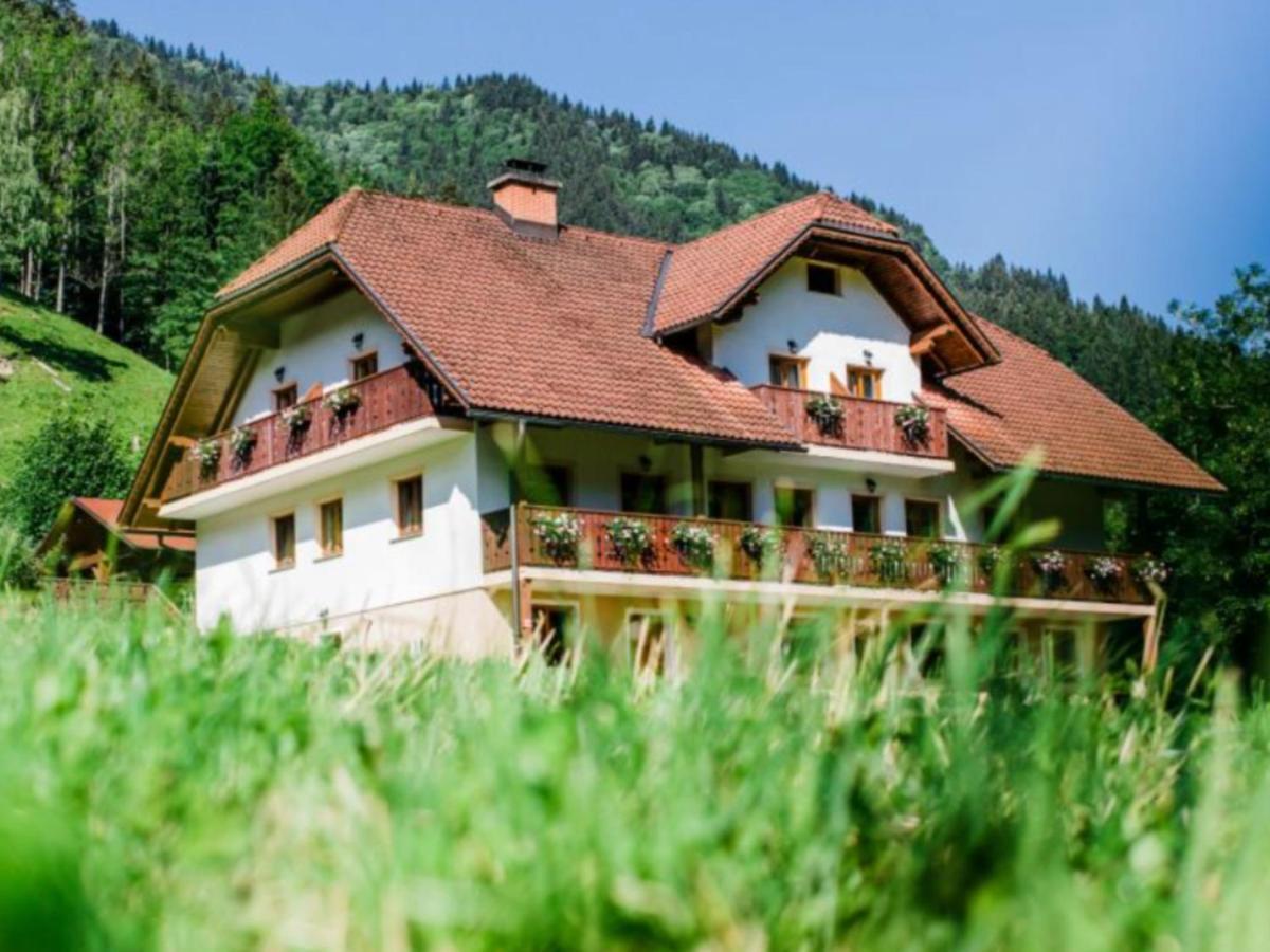 Na Logu - Farm Stay Ambroz Gregorc Solčava Dış mekan fotoğraf