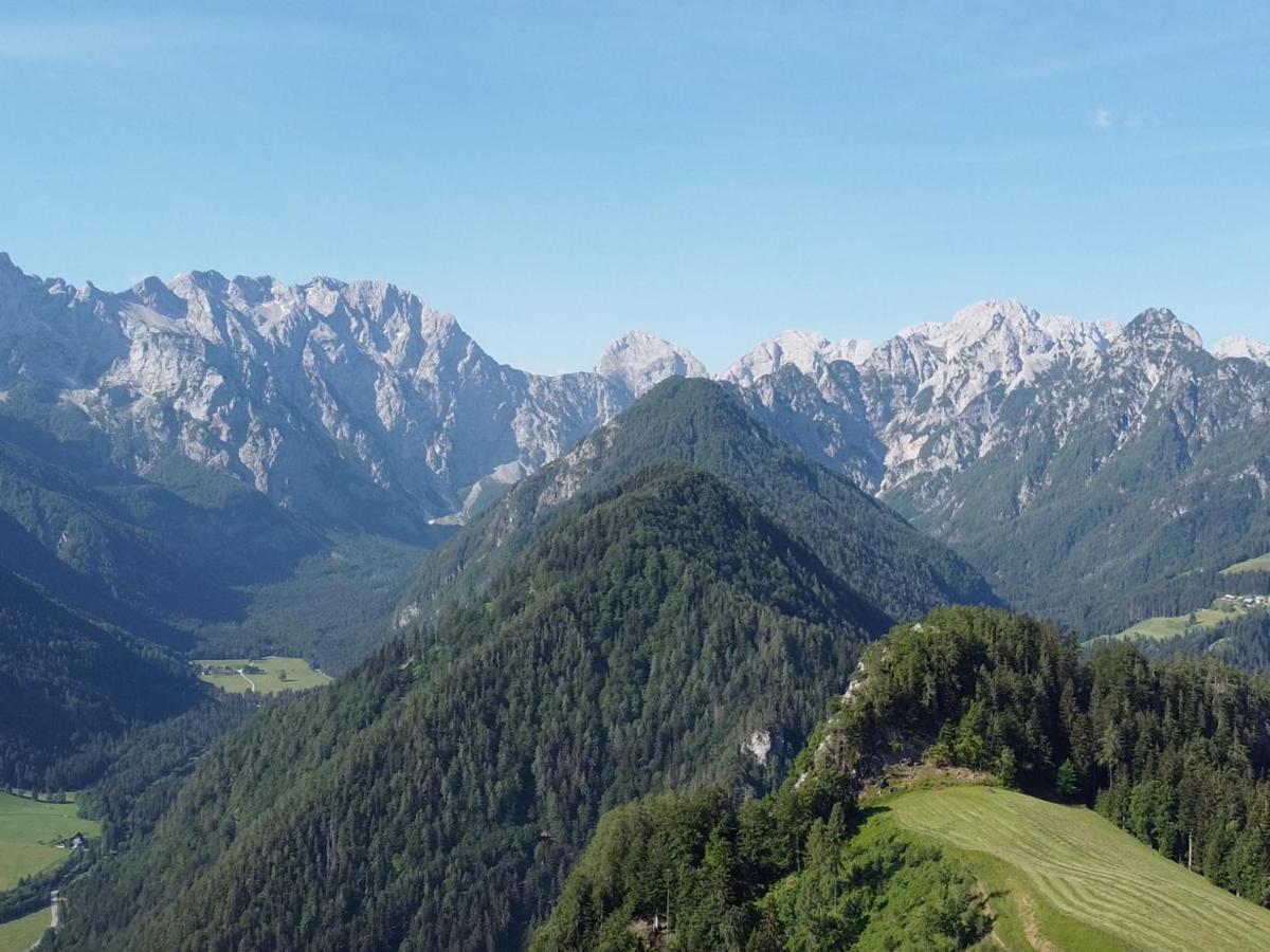 Na Logu - Farm Stay Ambroz Gregorc Solčava Dış mekan fotoğraf