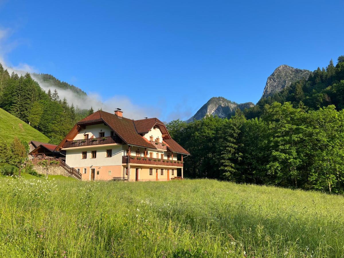 Na Logu - Farm Stay Ambroz Gregorc Solčava Dış mekan fotoğraf