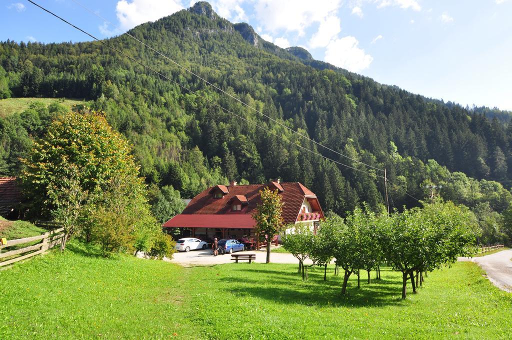 Country House - Turisticna Kmetija Ambroz Gregorc Villa Solčava Dış mekan fotoğraf