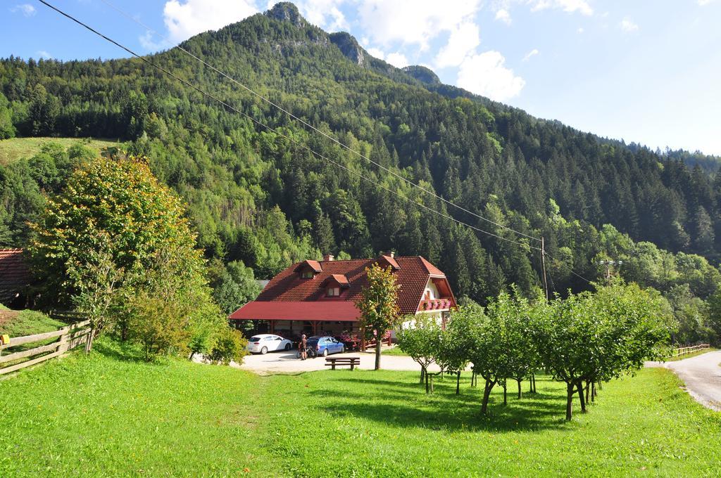 Na Logu - Farm Stay Ambroz Gregorc Solčava Dış mekan fotoğraf