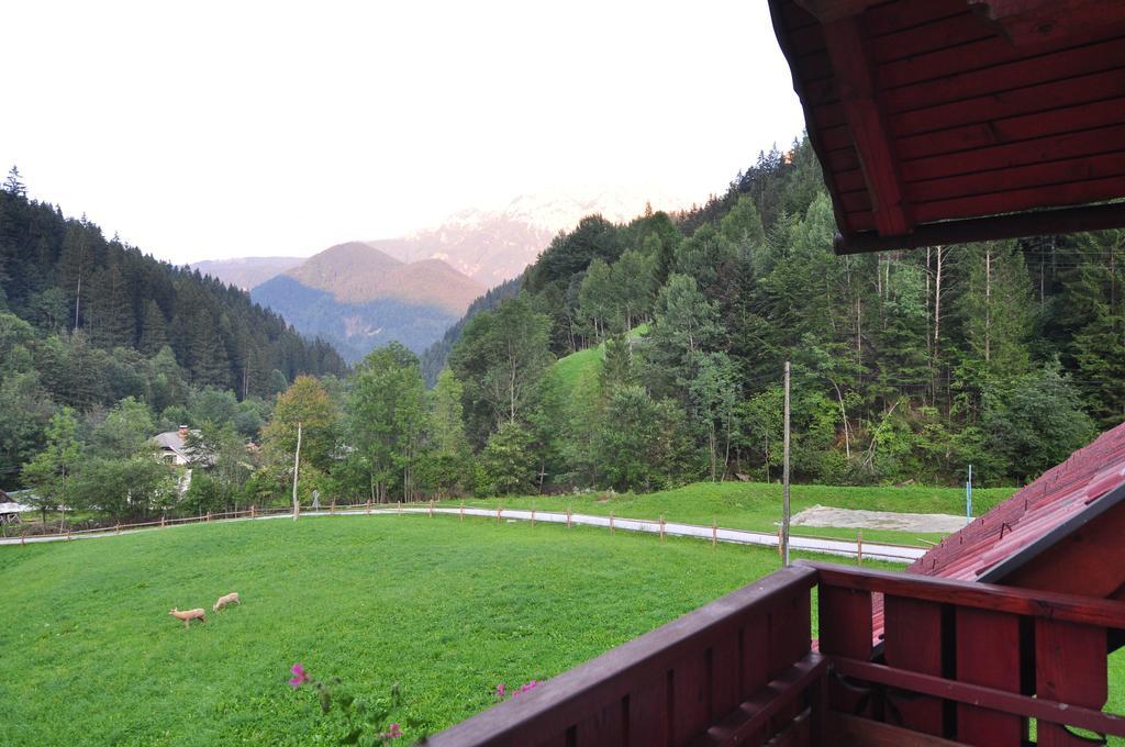Na Logu - Farm Stay Ambroz Gregorc Solčava Oda fotoğraf