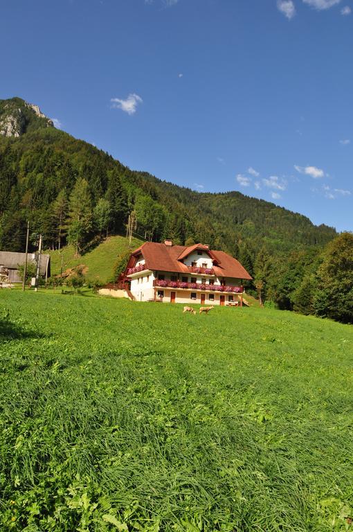 Country House - Turisticna Kmetija Ambroz Gregorc Villa Solčava Dış mekan fotoğraf