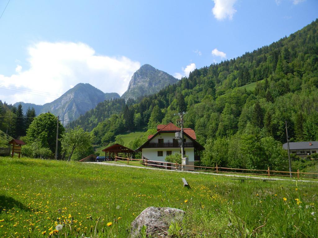 Na Logu - Farm Stay Ambroz Gregorc Solčava Dış mekan fotoğraf