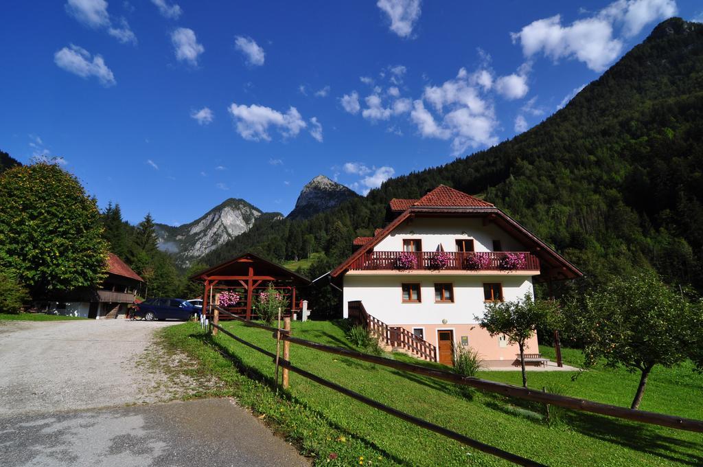 Na Logu - Farm Stay Ambroz Gregorc Solčava Dış mekan fotoğraf